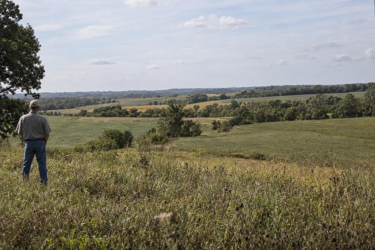 Open land in southeast Iowa, shown as a regional illustration rather than a confirmed steel plant site.