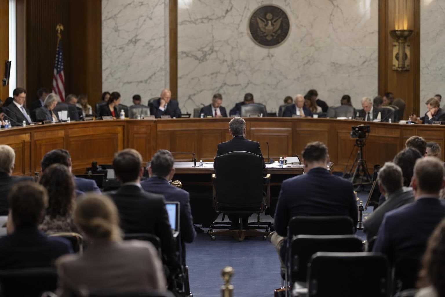 Lawmakers sit behind a dais opposite a witness during a Senate committee hearing.