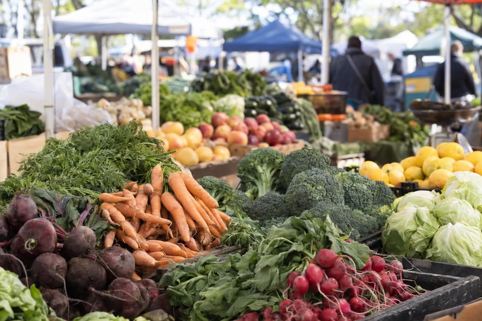 Fresh foods and produce arranged in a display, illustrating food supply as a summit topic.