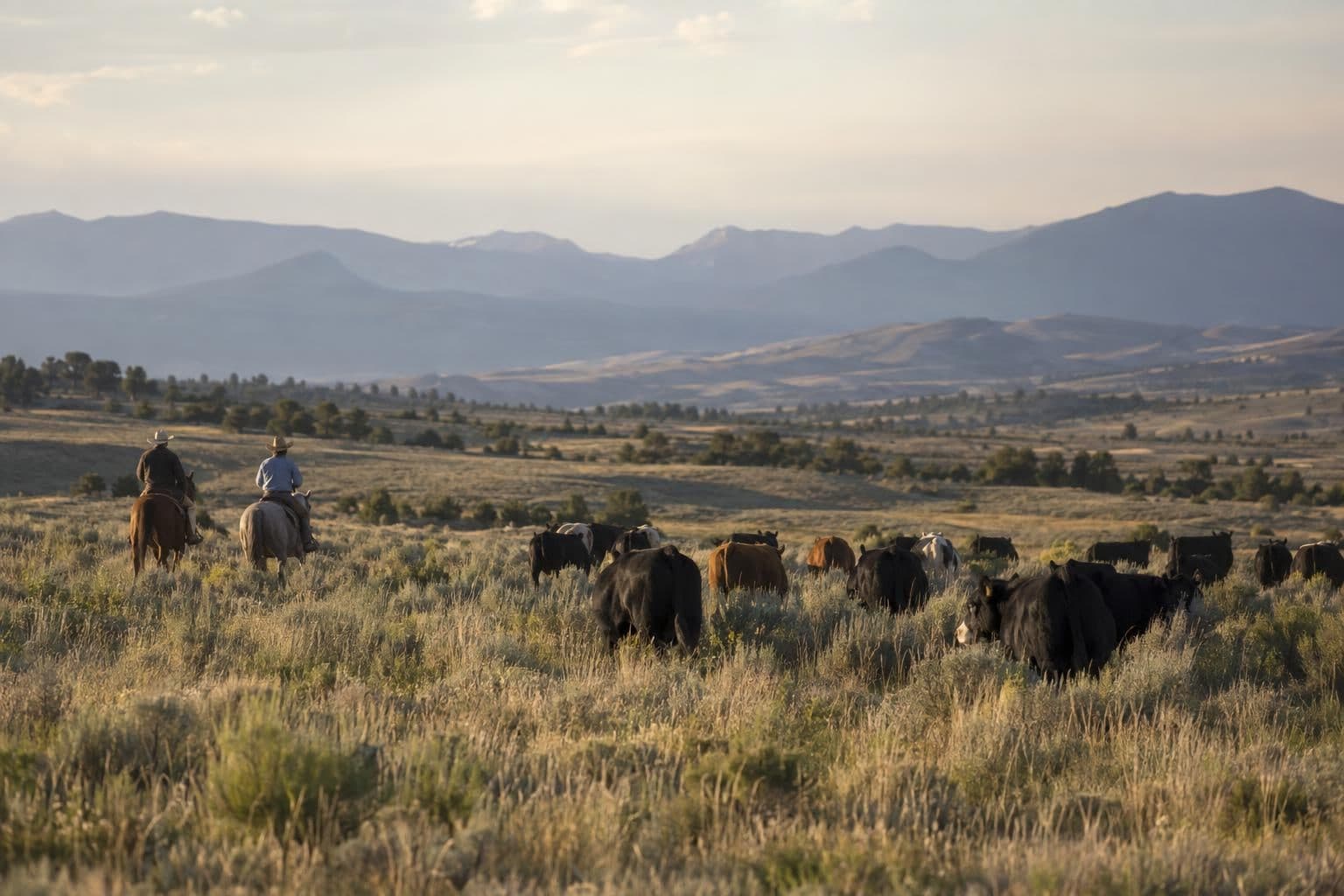 Distant ranchers on open Colorado land