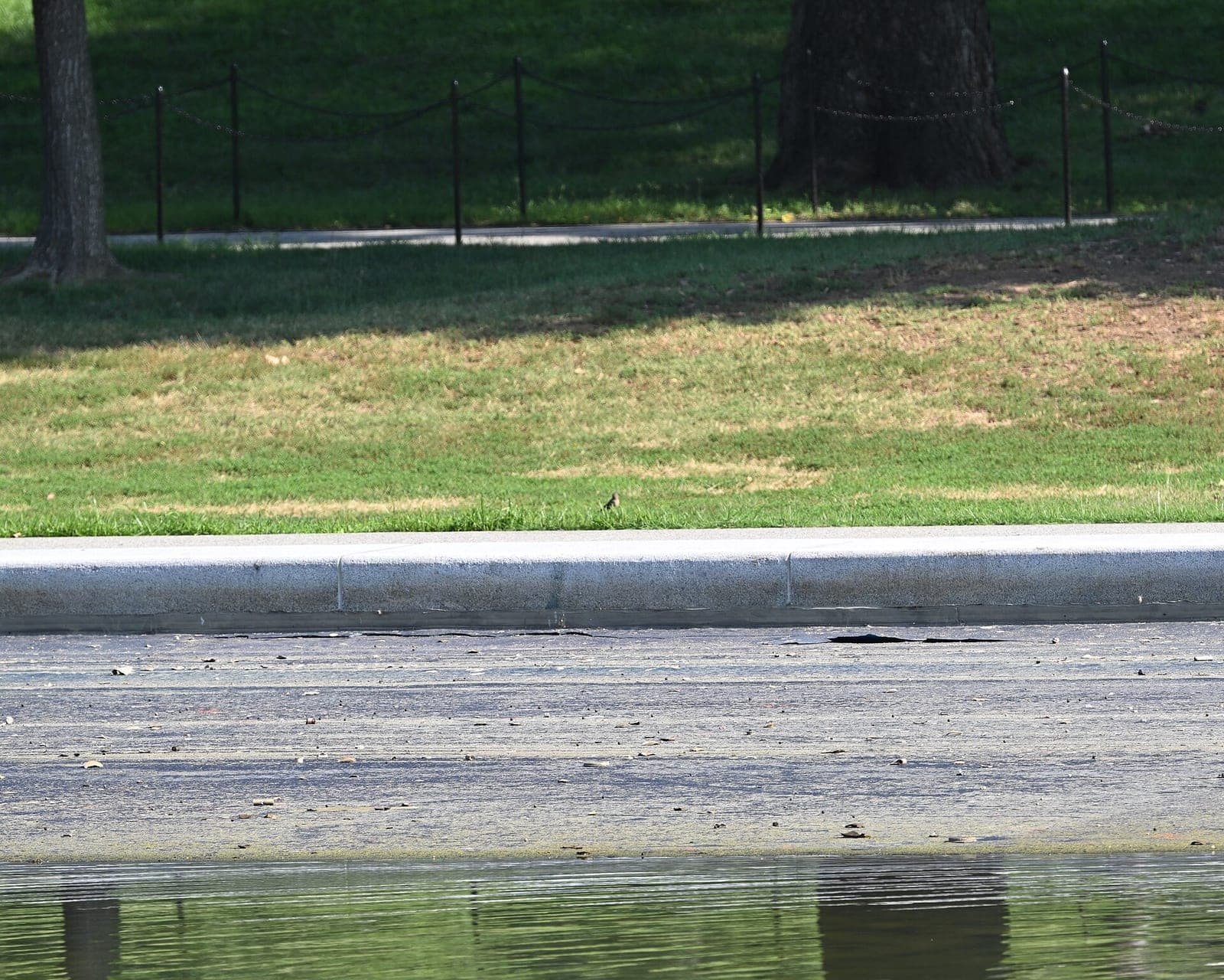 A concrete pool basin with scattered debris, a strip of water, and a grassy, tree-lined bank.