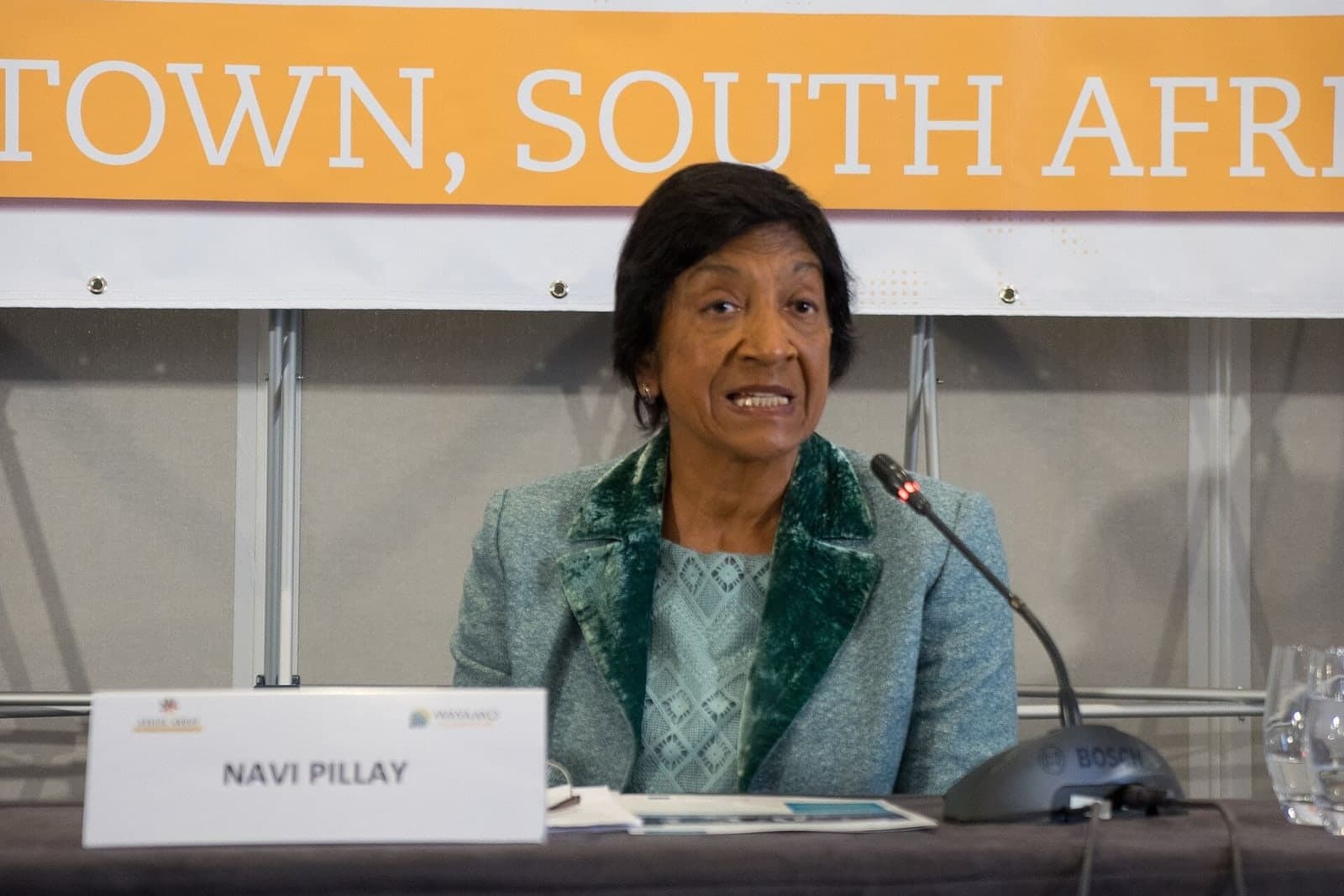Navi Pillay in 2018.